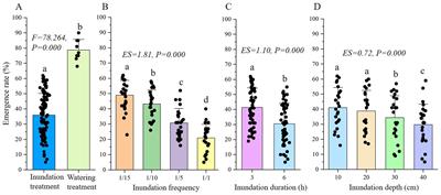 Effects of varied inundation characteristics on early life stages of a salt marsh plant